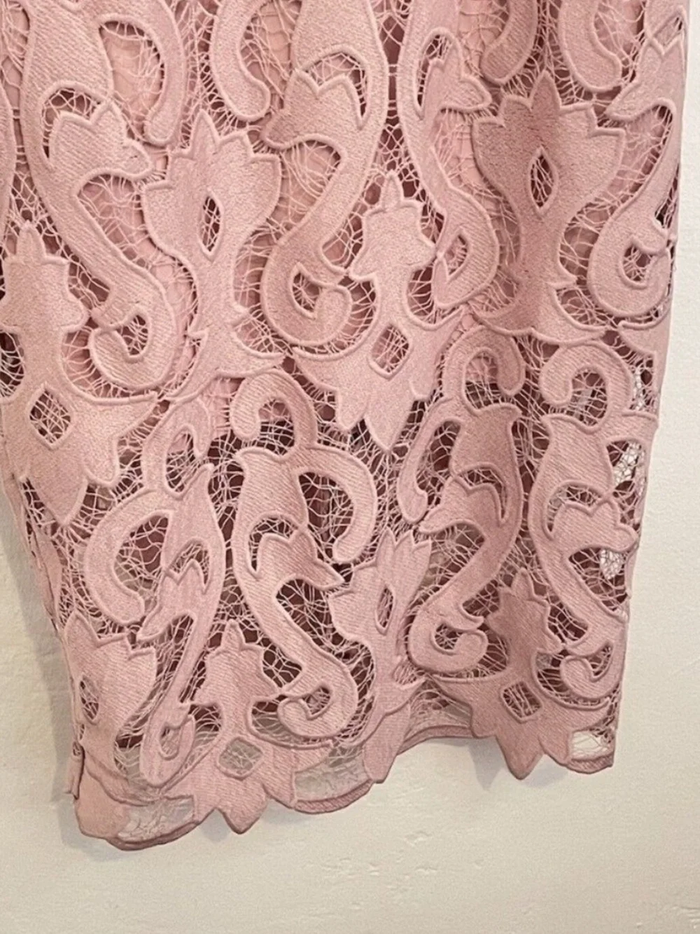 Bardot Blush Pink Lace Midi Dress - Picture 5 of 7